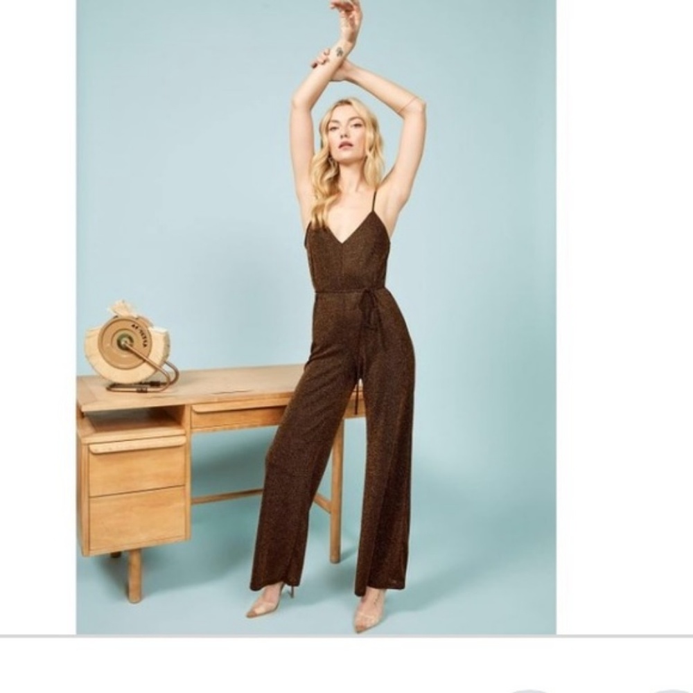 Reformation Coda Brown Shimmery Jumpsuit